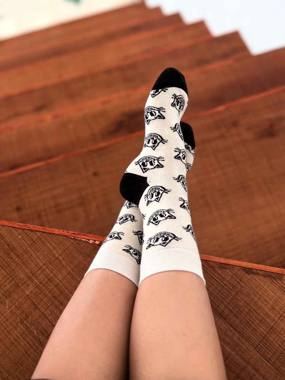 Adorable Cat Print Socks – Style Meets Comfort (Pack of 1)